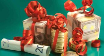 Partita Iva forfettaria: cosa devi sapere per il bonus Natale 2024
